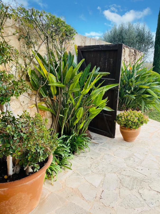 Moderne Finca Can Vicento - Heizung - Pizzaofen Porto Cristo Eksteriør billede